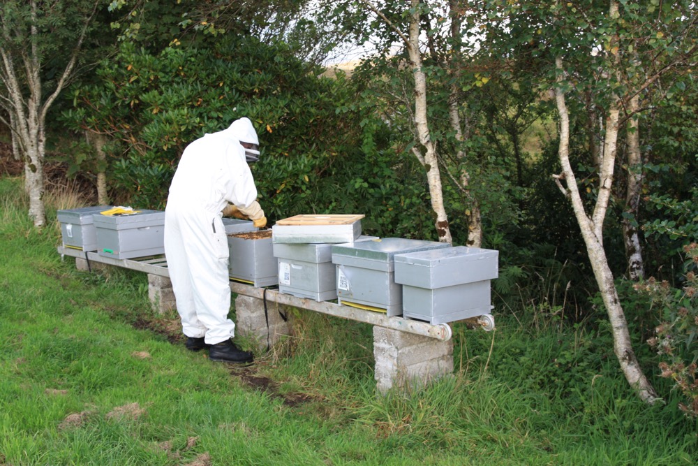 Weekly inspections