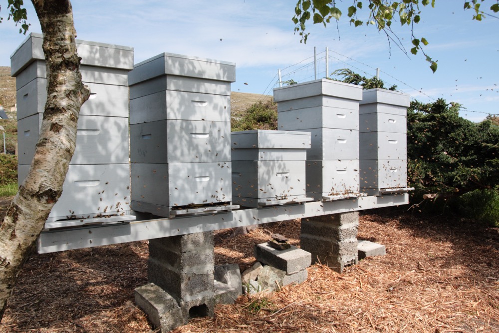 Hive stand at home