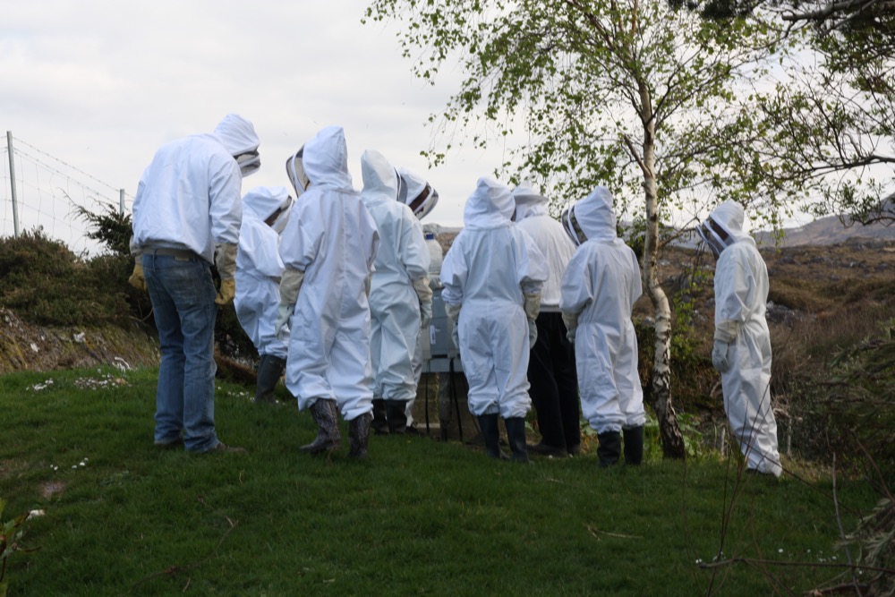 At the hives