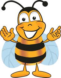 LOCAL Beara Honey